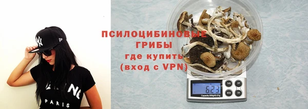 альфа пвп Инта