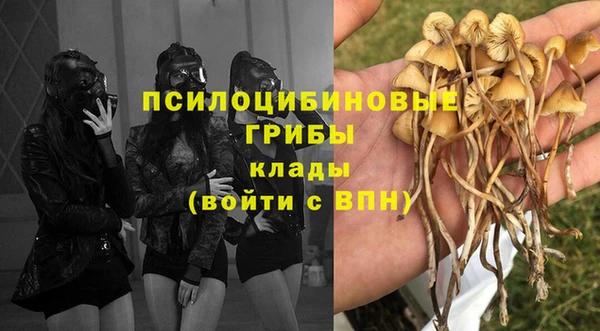 гидропоника Каменск-Шахтинский
