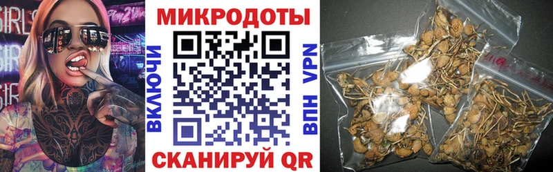 цена наркотик  Кировск  Галлюциногенные грибы мицелий 