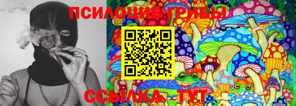 Кировск  Псилоцибиновые грибы Magic Shrooms  Вход с VPN 